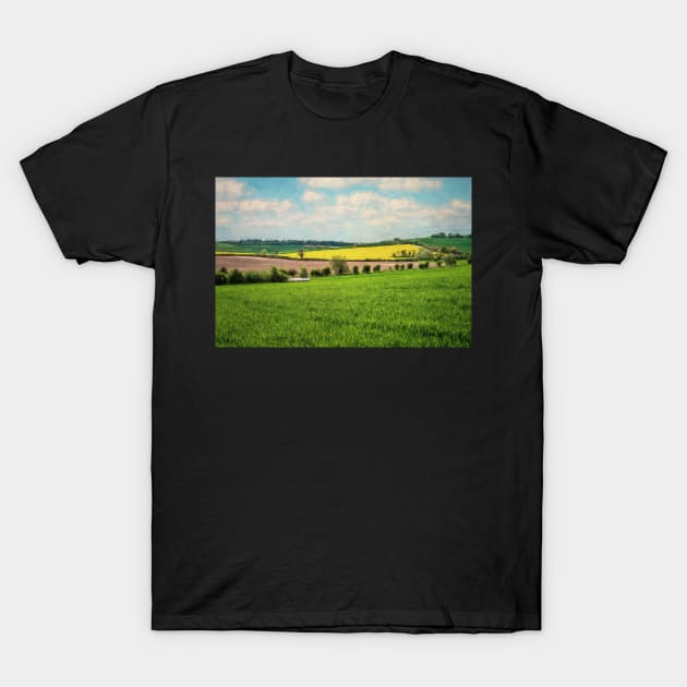 Berkshire Downs Farmland T-Shirt by IanWL